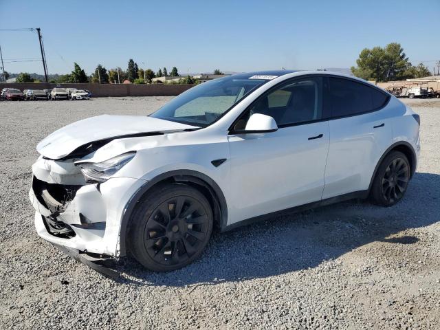 2023 TESLA MODEL Y - 7SAYGDEE0PA110021