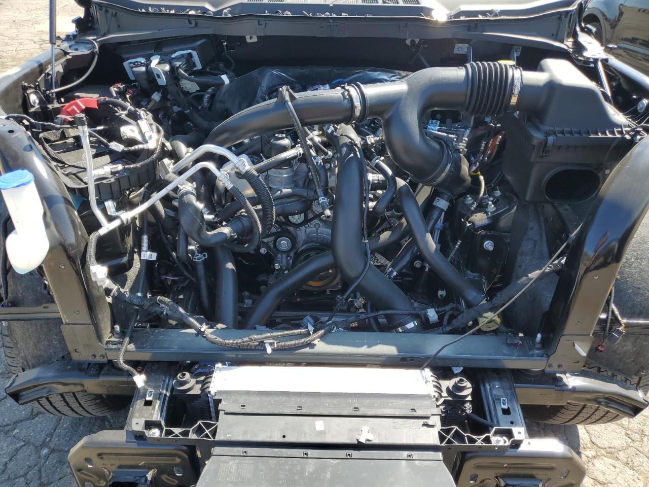 Lot #3285572293 2025 FORD F150 XLT