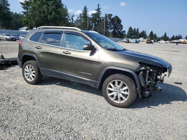 2015 JEEP CHEROKEE L 1C4PJMDS8FW533637