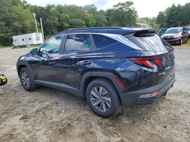2024 HYUNDAI TUCSON BLUE KM8JBCD17RU228713