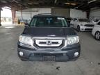 Lot #3304148489 2011 HONDA PILOT EXL
