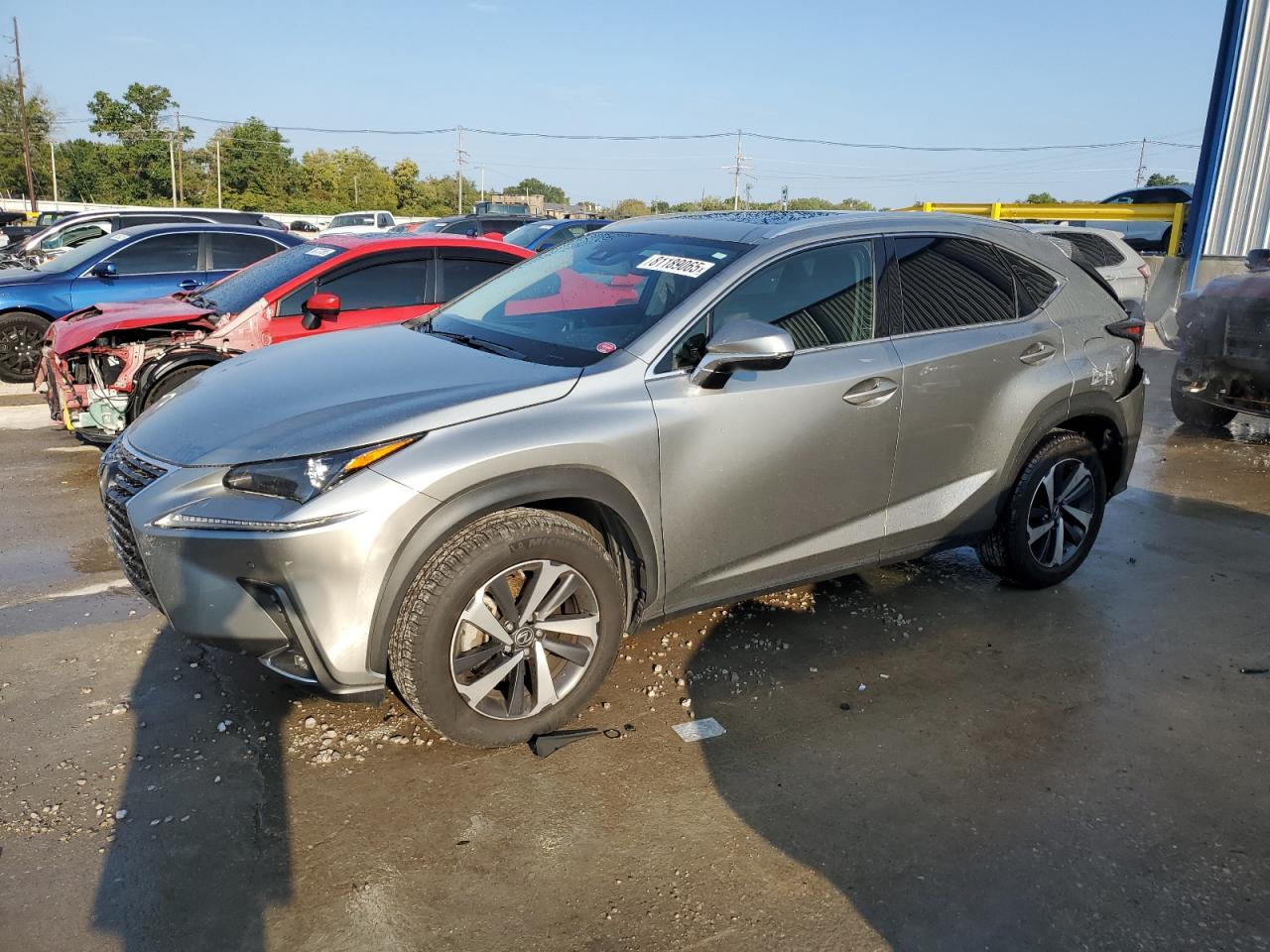 LEXUS NX 300