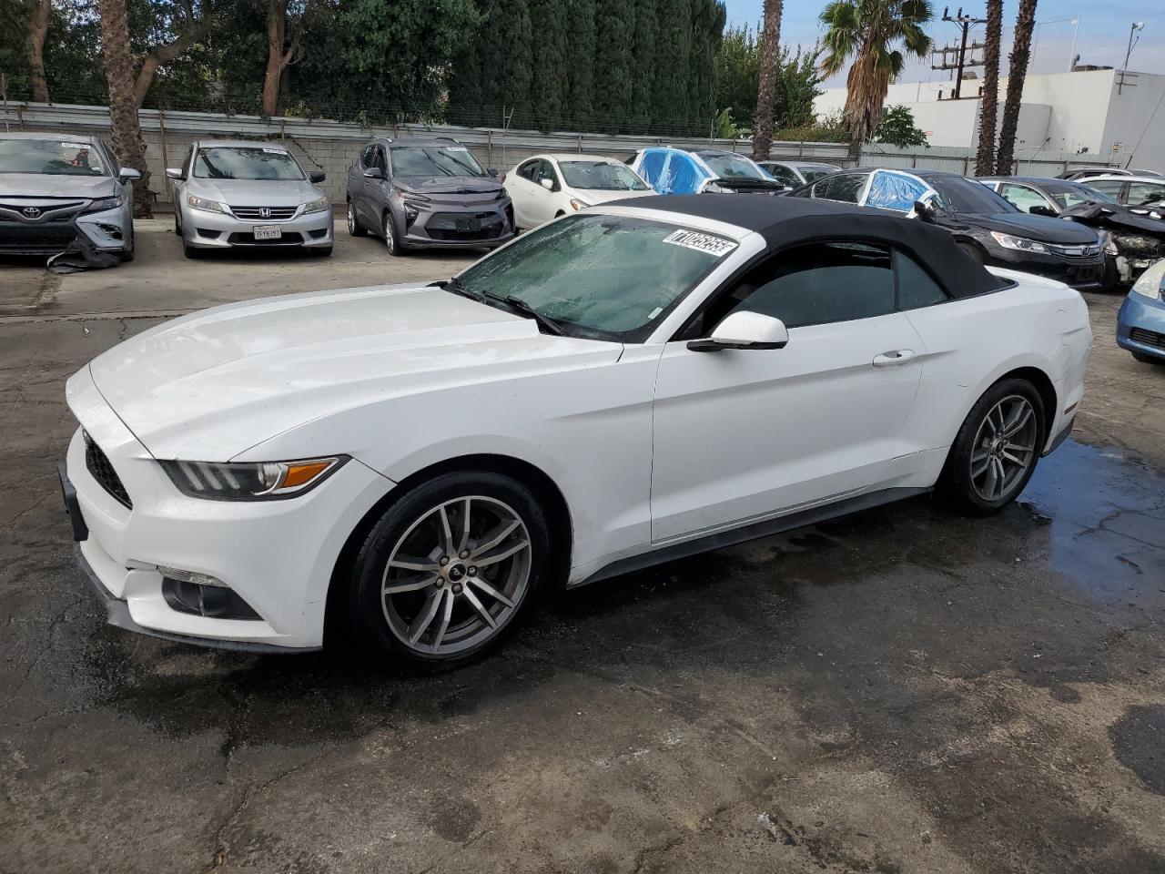 FORD MUSTANG