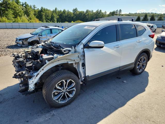 Global Auto Auctions: 2022 HONDA CR-V EX