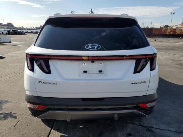 2024 HYUNDAI TUCSON LIM - KM8JECD13RU229221