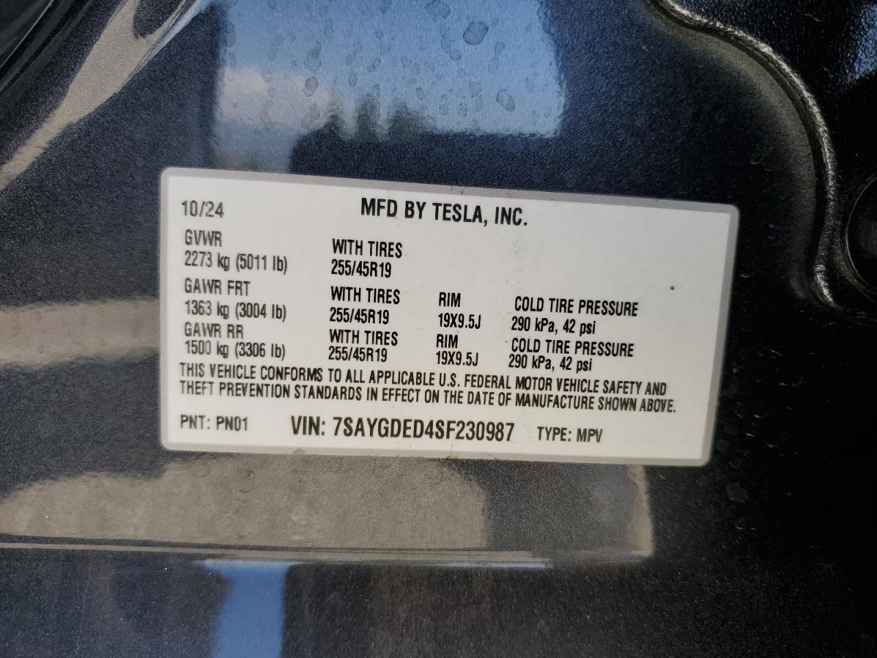 TESLA MODEL Y
