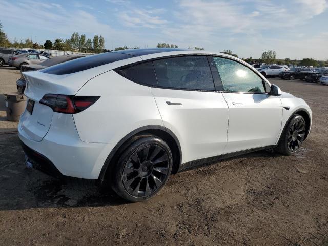 2021 TESLA MODEL Y 5YJYGDEE5MF067517