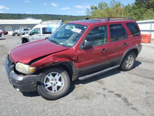 Global Auto Auctions: 2006 FORD ESCAPE XLT