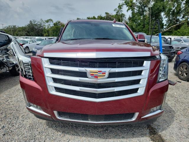 2019 CADILLAC ESCALADE P - 1GYS3CKJ9KR276337
