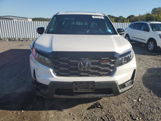 2024 HONDA RIDGELINE 5FPYK3F68RB004023
