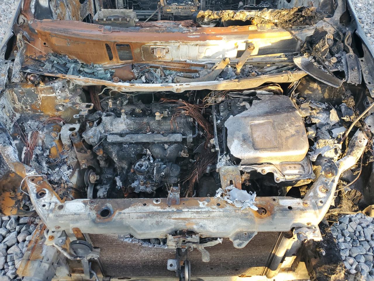 Lot #3309593566 2009 TOYOTA PRIUS