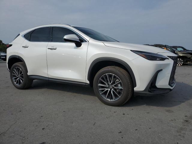 2025 LEXUS NX 250 PRE JTJGDCAZ7S2021918