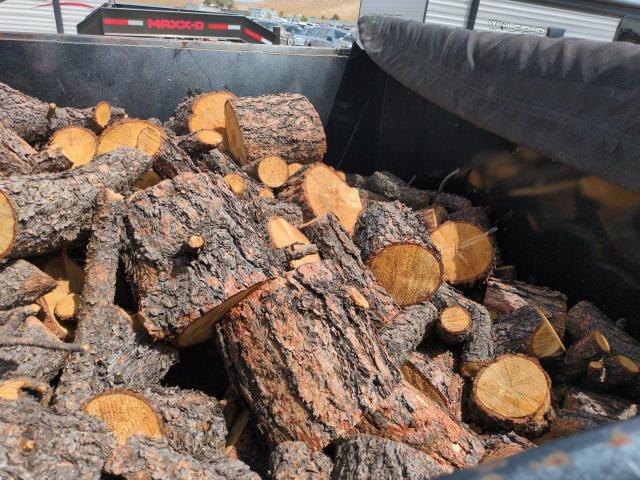 2022 TEXAS PRIDE UNKNOWN #3277025165