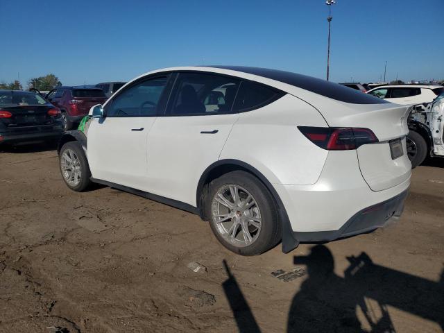 2023 TESLA MODEL Y 7SAYGDEE5PF703621