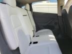 Lot #3319214708 2023 TESLA MODEL Y