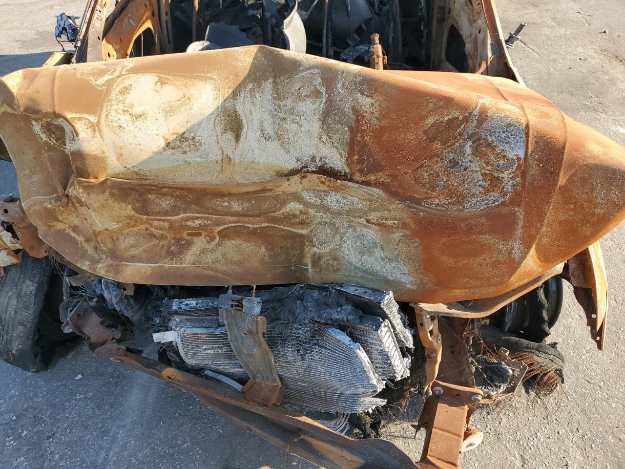 VOLKSWAGEN TIGUAN SE