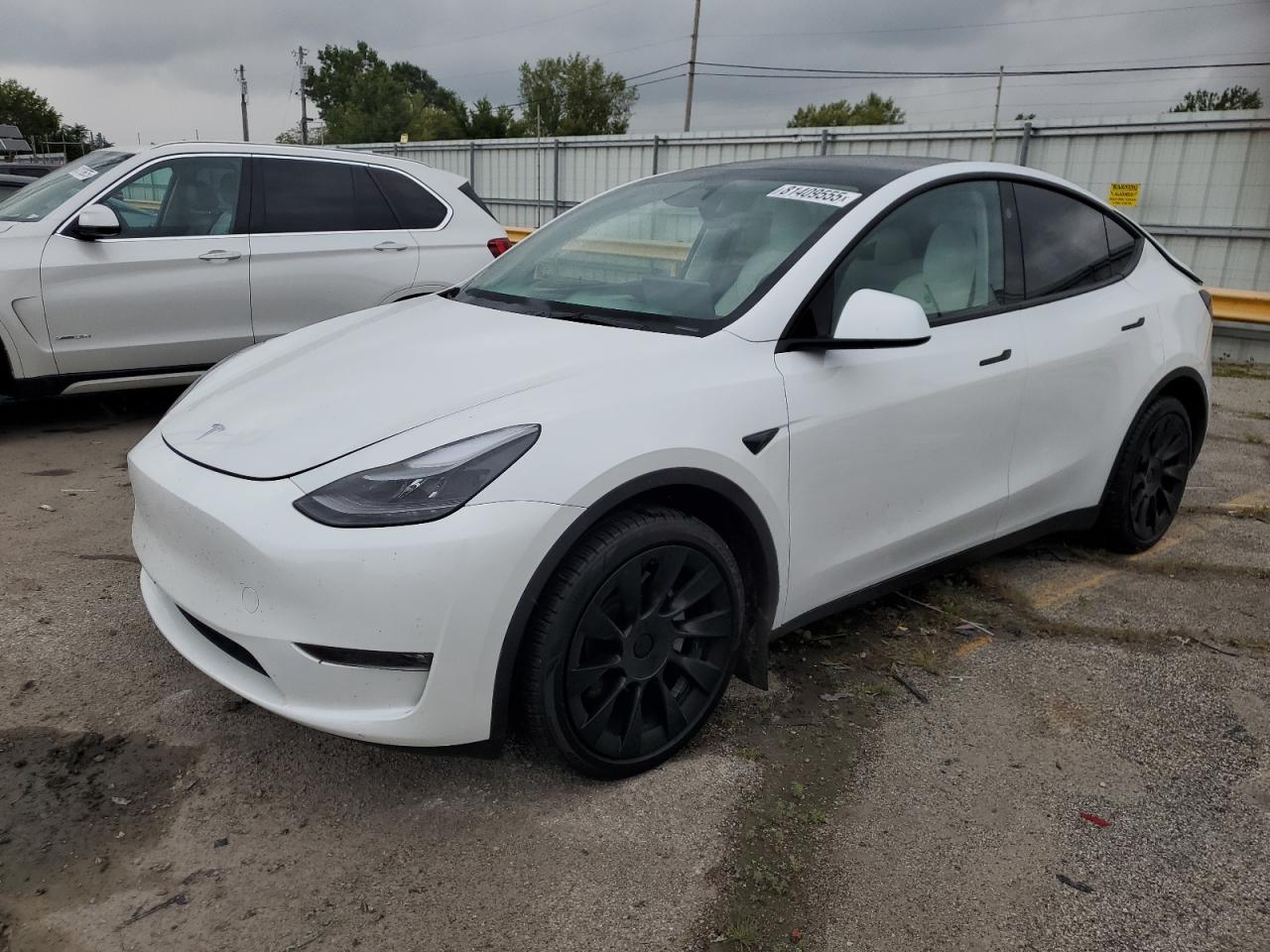 TESLA MODEL Y