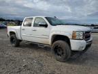 Lot #3308282166 2011 CHEVROLET SILVERADO