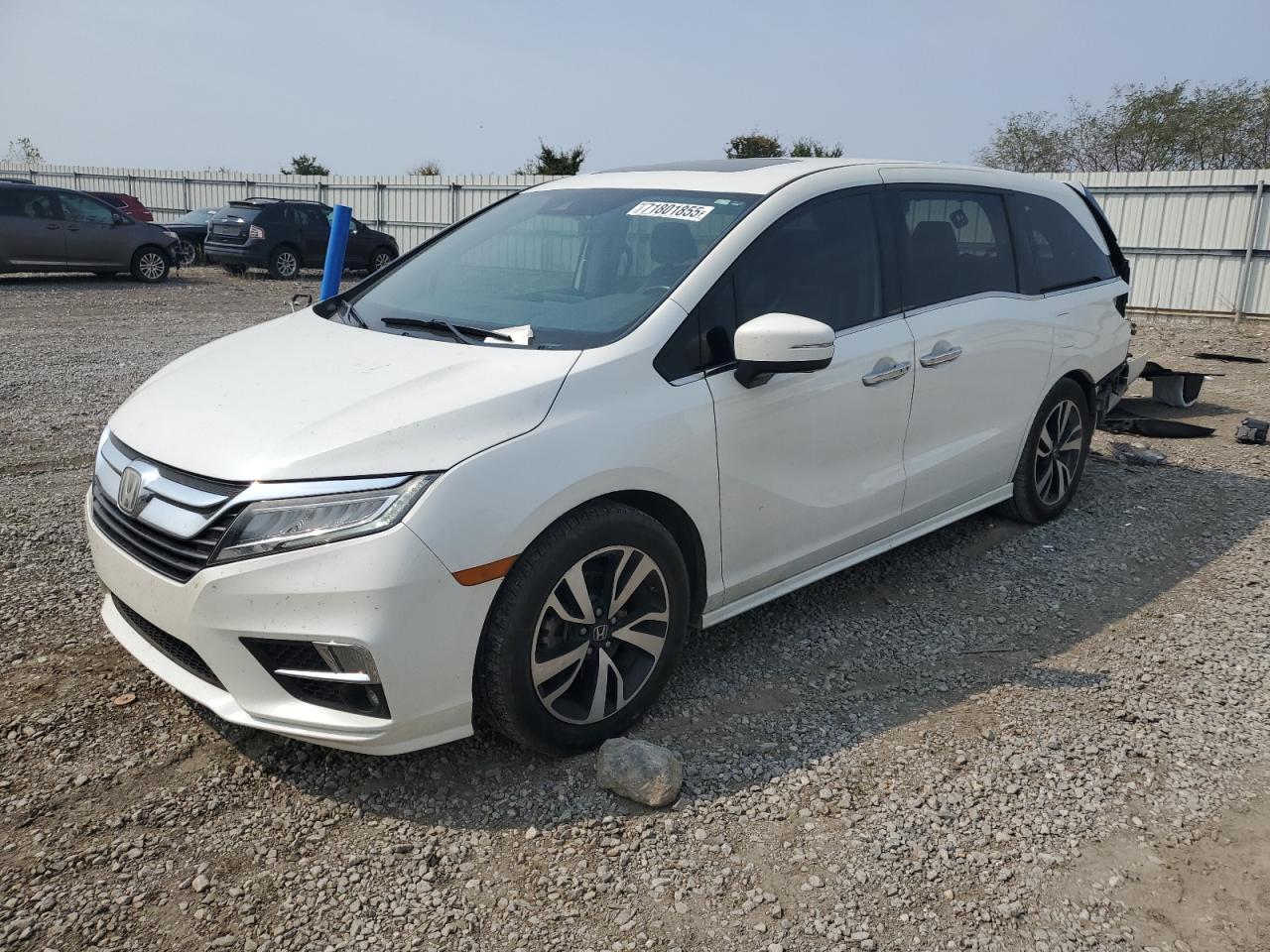 HONDA ODYSSEY ELITE