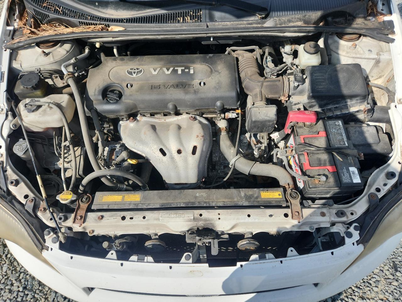 Lot #3286619912 2009 SCION TC