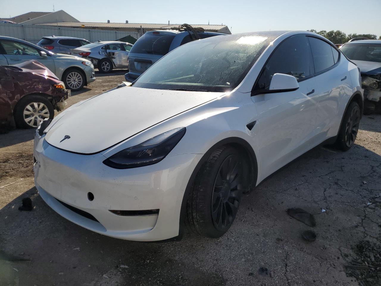 Lot #3266972503 2021 TESLA MODEL Y