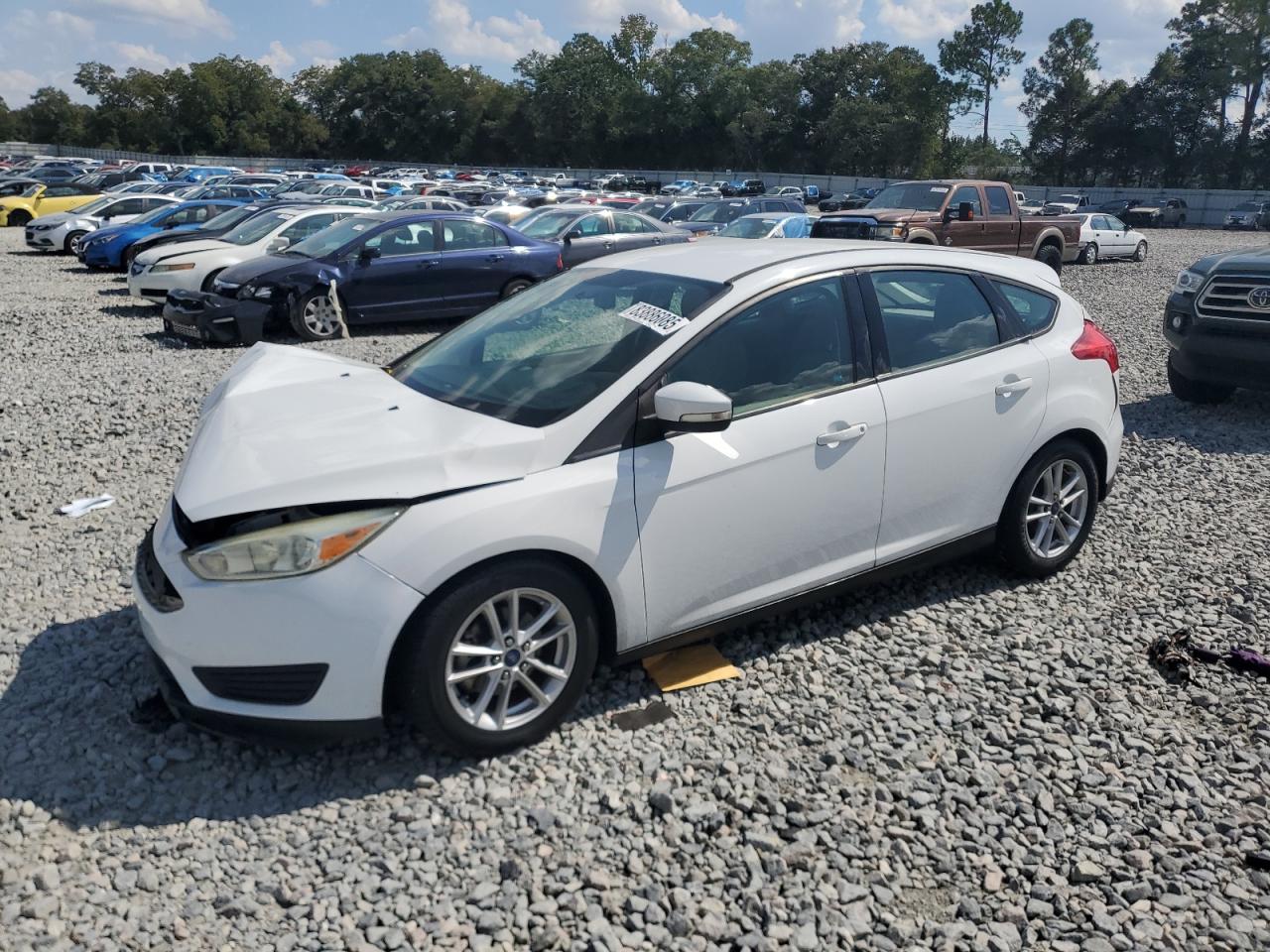 Lot #3315669777 2016 FORD FOCUS SE