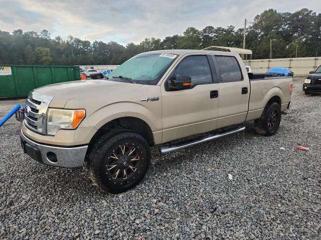 2010 FORD F150 SUPER - 1FTFW1CV0AFC80829