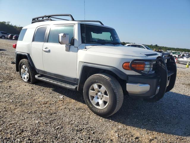 2010 TOYOTA FJ CRUISER - JTEBU4BF9AK093723