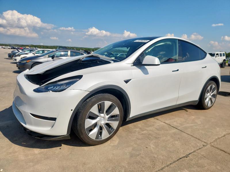 Global Auto Auctions: 2021 TESLA MODEL Y