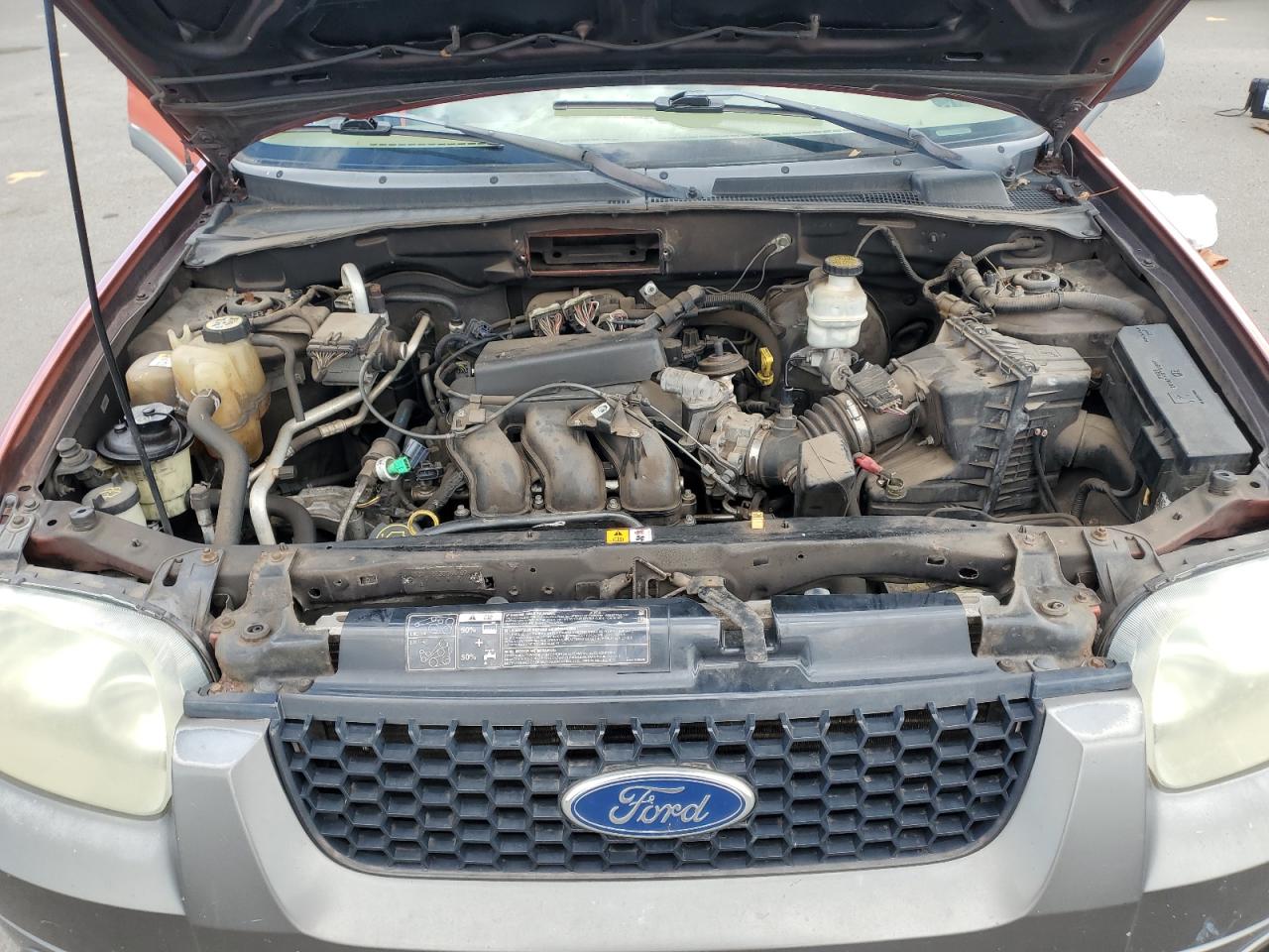 Lot #3246521929 2006 FORD ESCAPE XLT