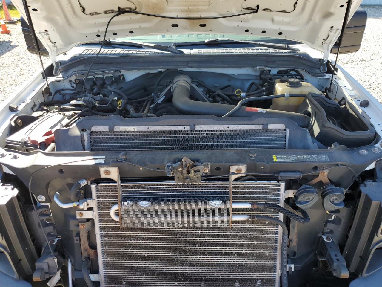 Lot #3264456421 2008 FORD F250 SUPER DUTY