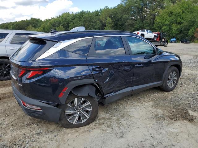 2024 HYUNDAI TUCSON BLUE KM8JBCD17RU228713