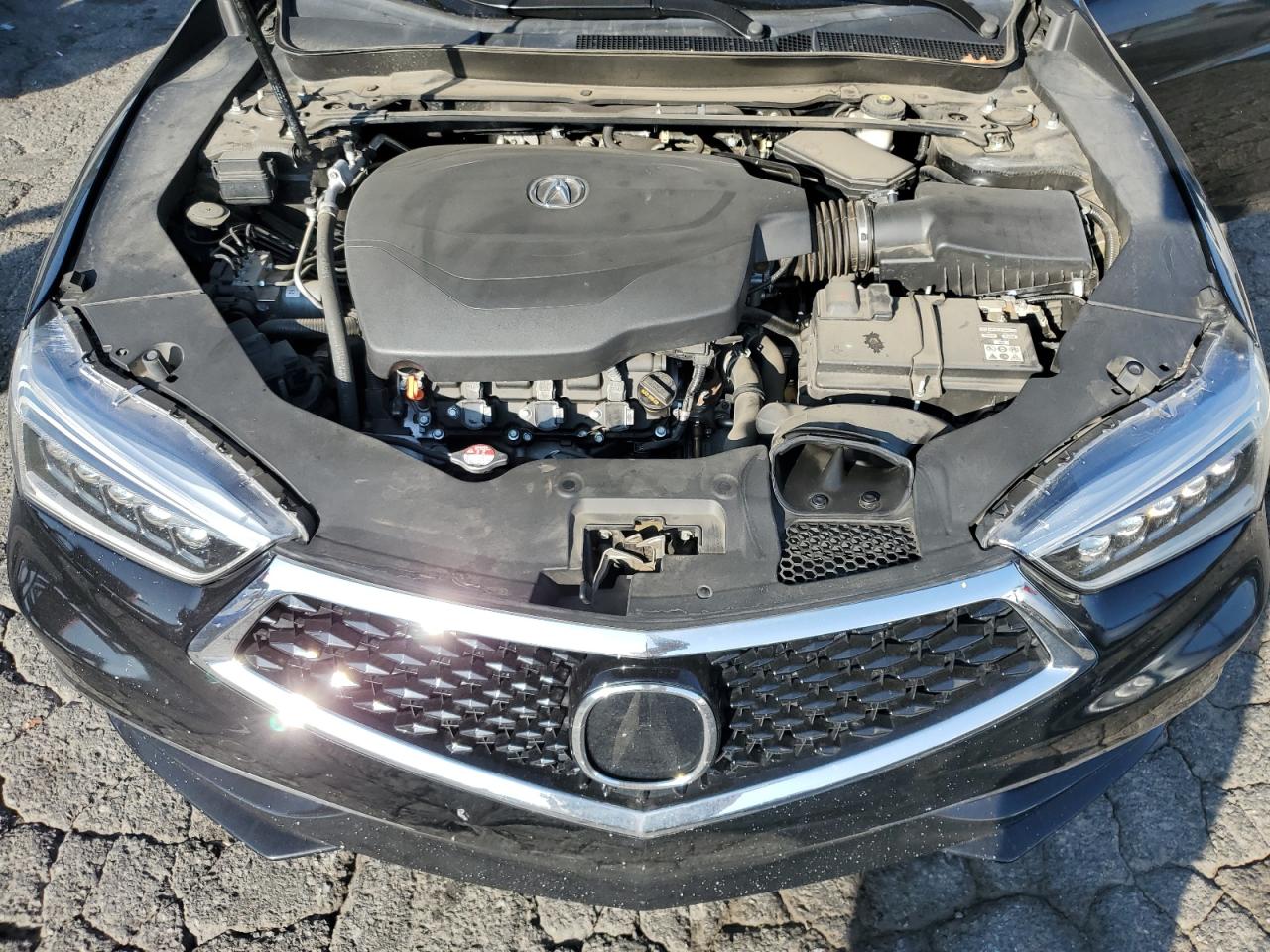 Lot #3317026119 2019 ACURA TLX TECHNO