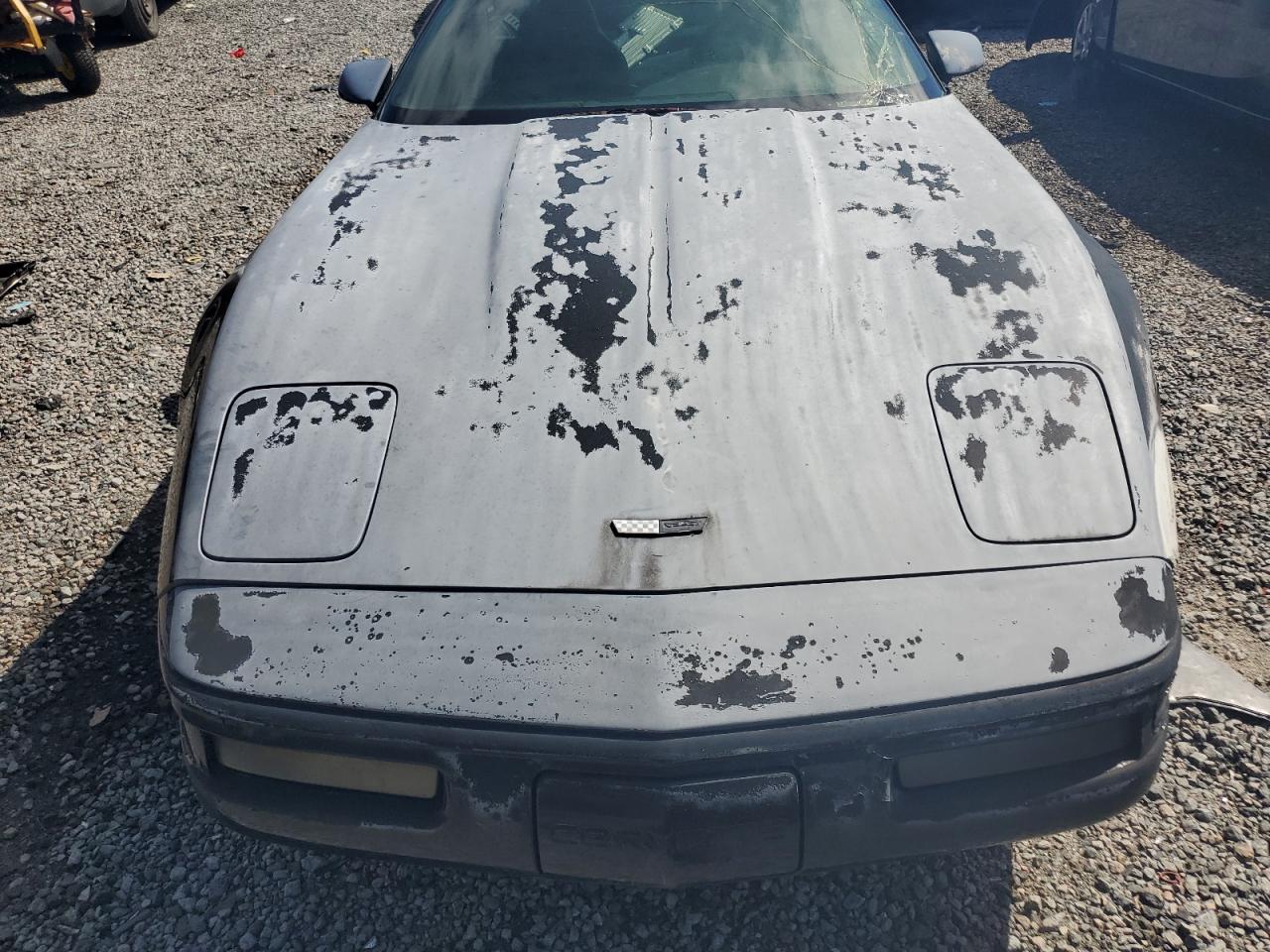 Lot #3255386437 1995 CHEVROLET CORVETTE