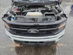 Lot #3305483067 2024 FORD F150 XLT