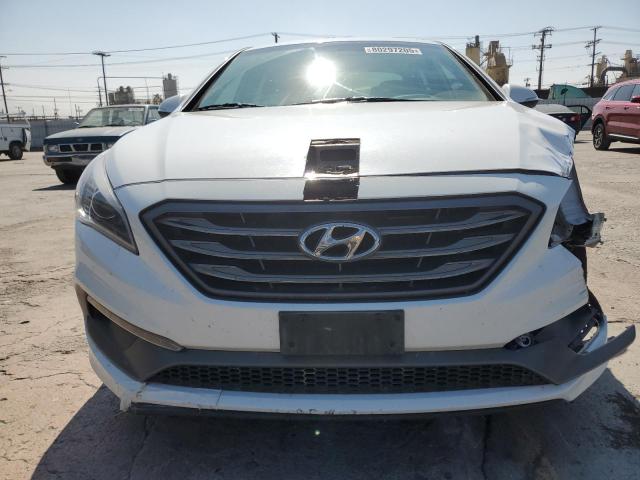 2017 HYUNDAI SONATA SPO 5NPE34AF7HH473920