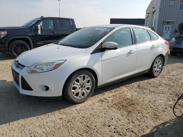 2013 FORD FOCUS SE - 1FADP3F27DL192034
