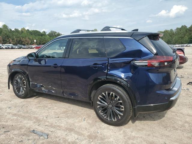 2025 NISSAN ROGUE PLAT JN8BT3DC8SW102494