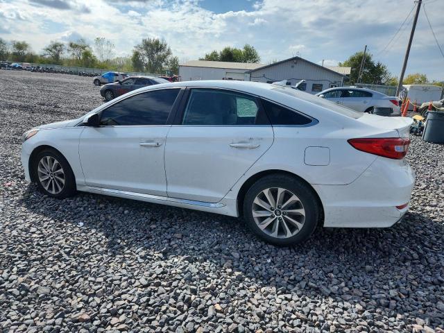 2017 HYUNDAI SONATA SPO 5NPE34AF9HH495899