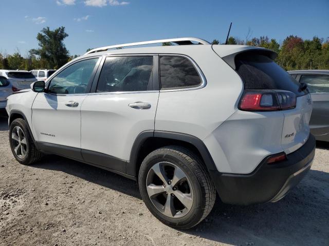 2019 JEEP CHEROKEE L 1C4PJMDX8KD484747
