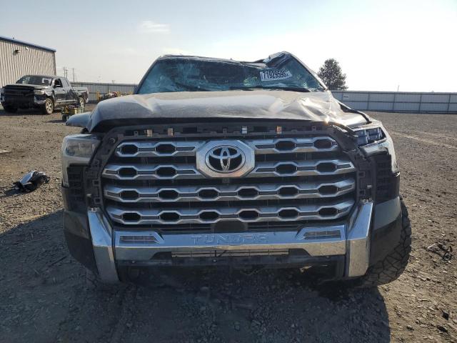 2023 TOYOTA TUNDRA CREWMAX PLATINUM 5TFMA5DB7PX096413