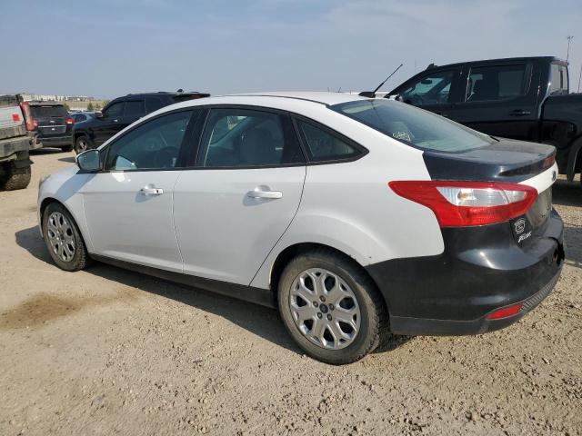 2013 FORD FOCUS SE - 1FADP3F27DL192034