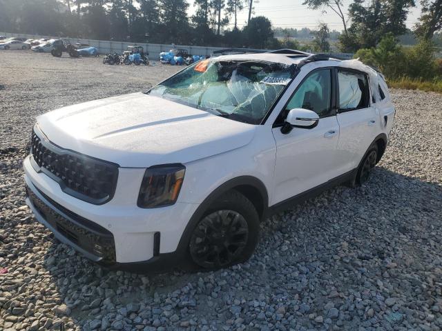 Global Auto Auctions: 2025 KIA TELLURIDE