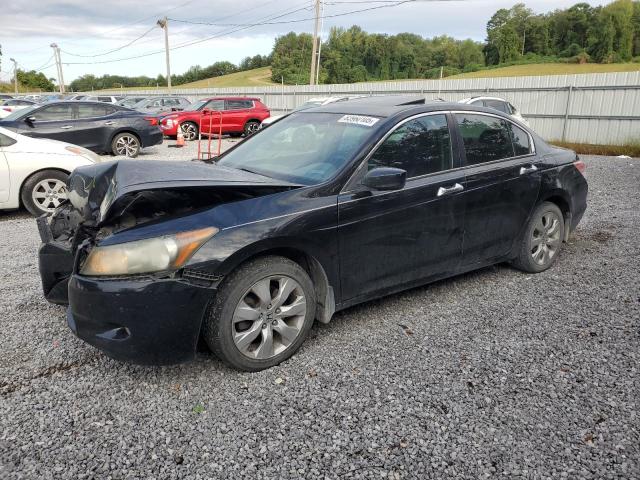 Global Auto Auctions: 2009 HONDA ACCORD EXL