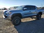 Lot #3302672017 2021 TOYOTA TACOMA DOUBLE CAB