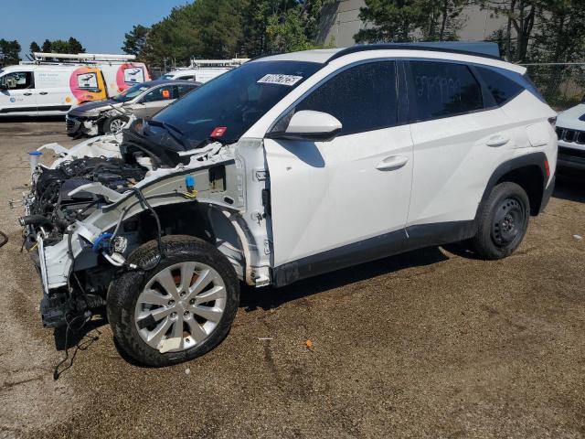 2025 HYUNDAI TUCSON SEL - 5NMJBCDE9SH503468