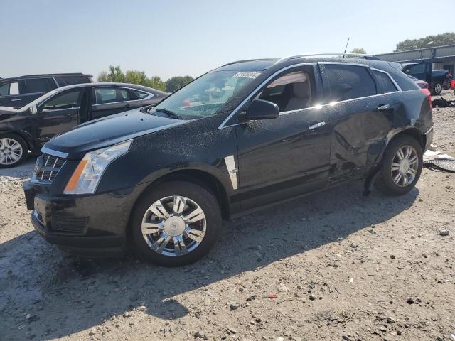 2011 CADILLAC SRX LUXURY - 3GYFNDEY7BS589779
