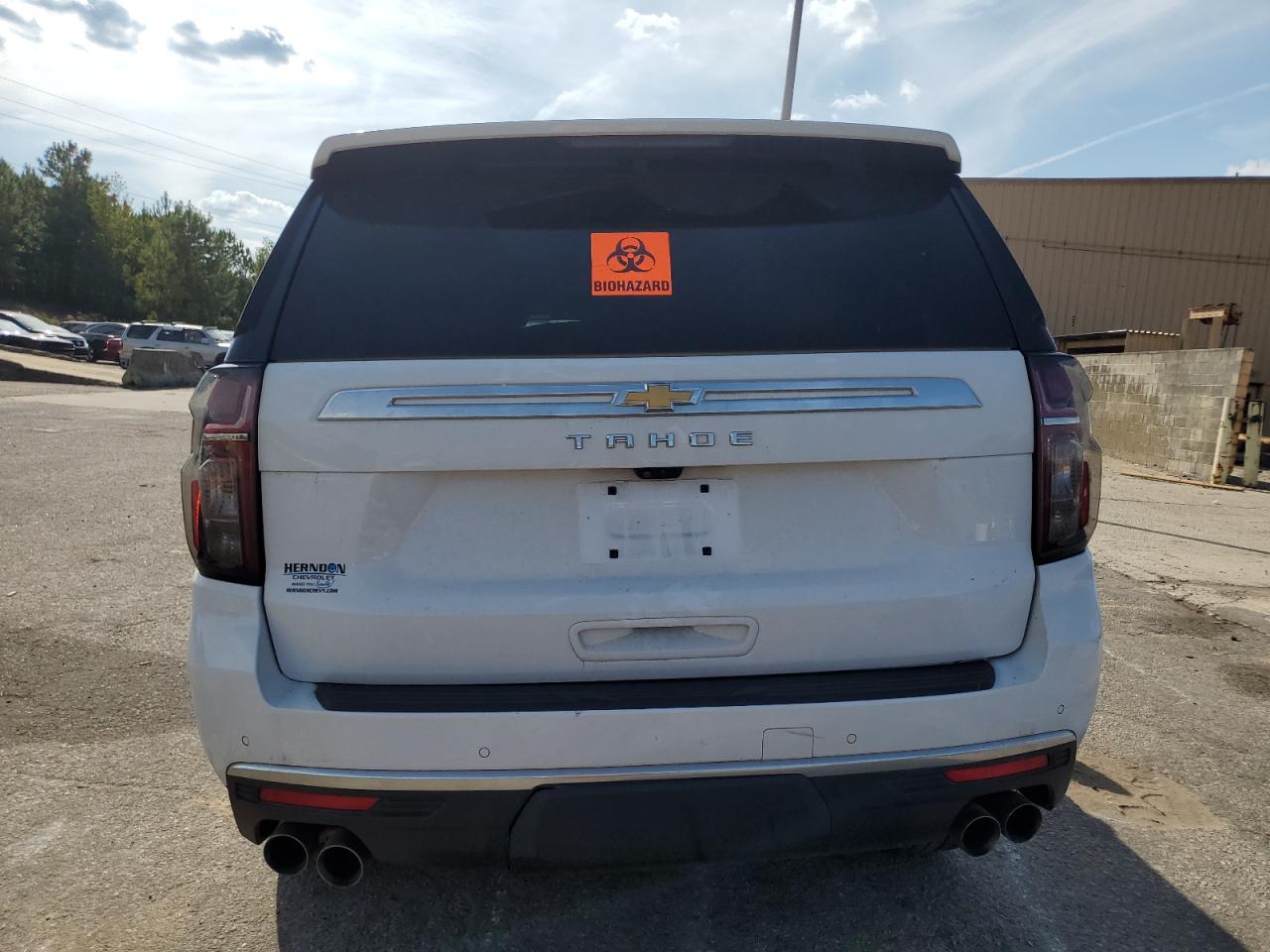 Global Auto Auctions