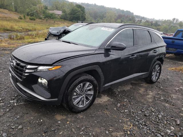 2022 HYUNDAI TUCSON BLU KM8JBCA17NU079850