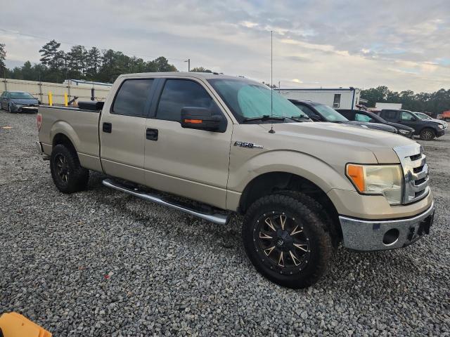 2010 FORD F150 SUPER - 1FTFW1CV0AFC80829
